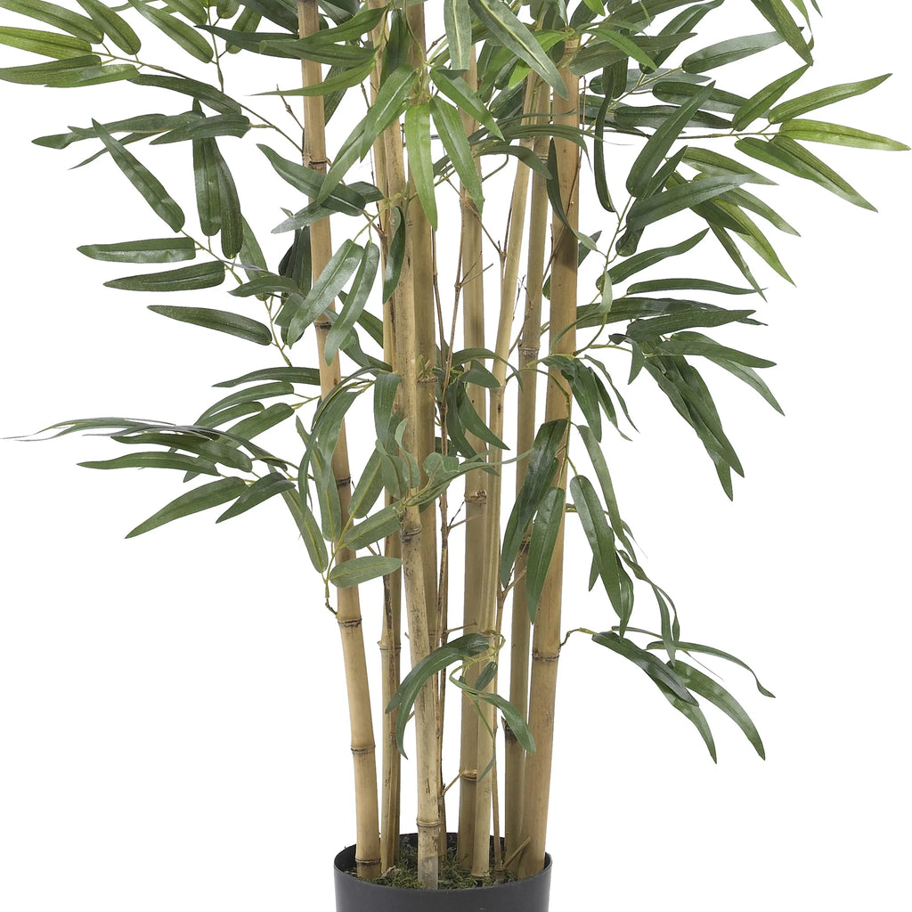 3' Multi Bambusa Bamboo Artificial Tree, Green