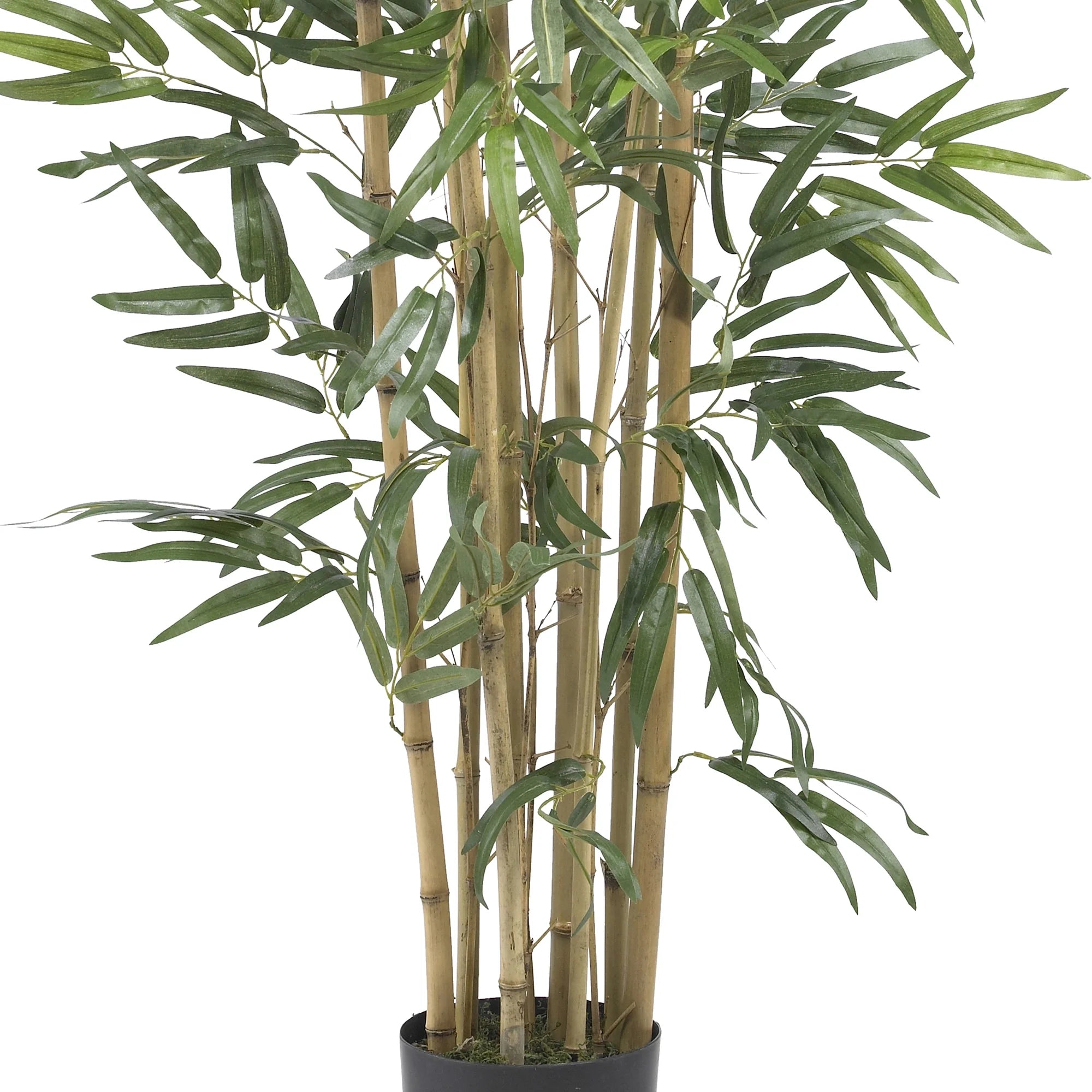 3' Multi Bambusa Bamboo Artificial Tree, Green